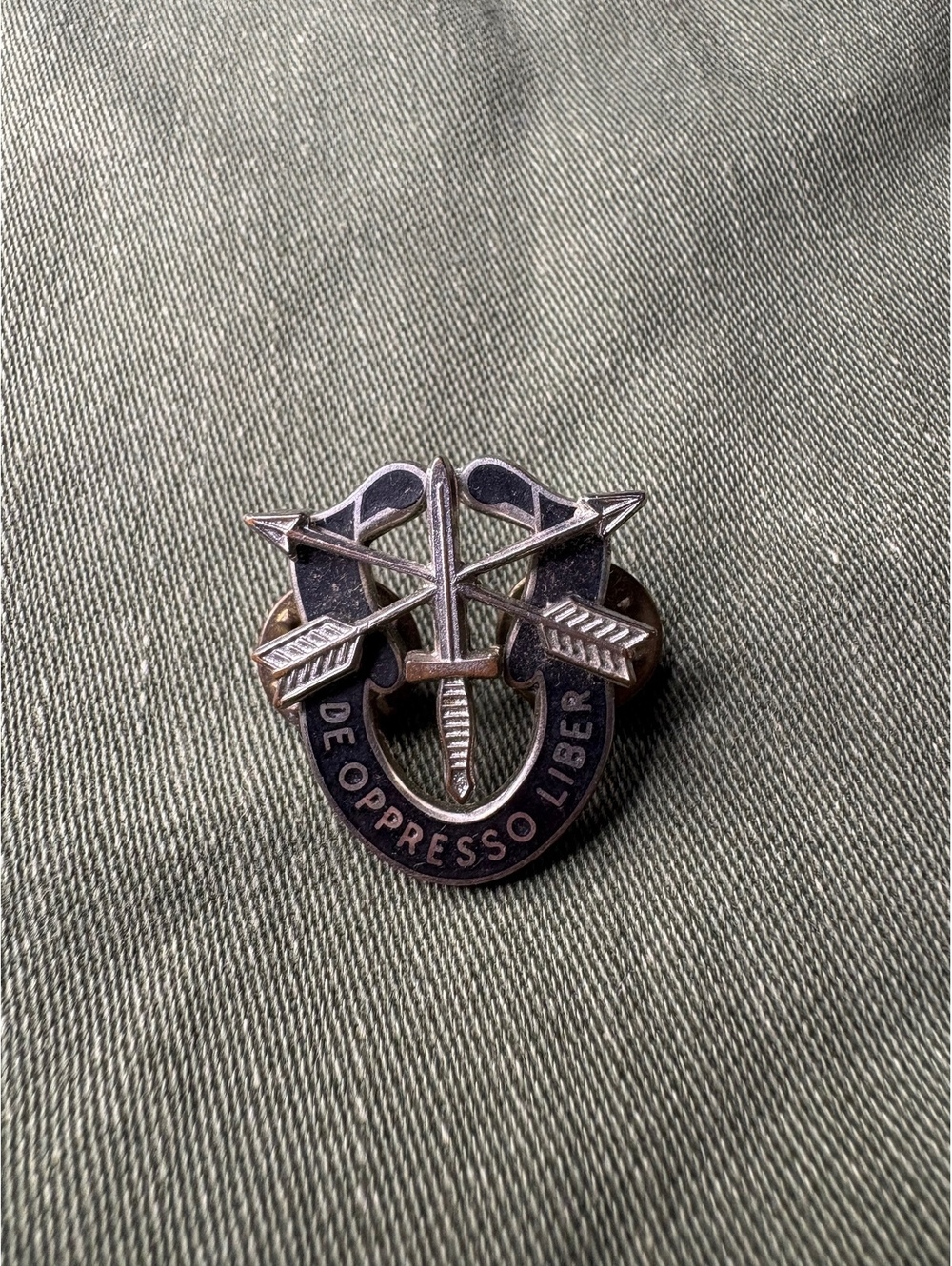 US Special Forces De Opresso Liber Crest Pin
